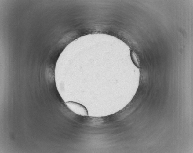 X0000115420719200912151603