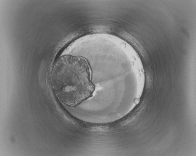 X0000115420721200912151602