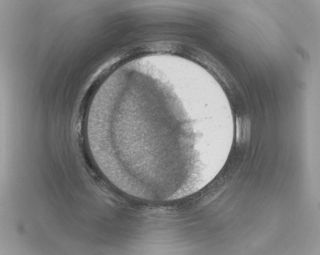 X0000115420723200912151602