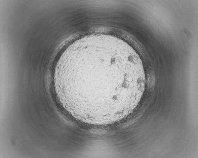 X0000115420725200912151602