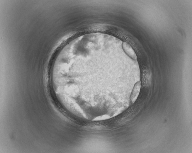 X0000115420726200912151602