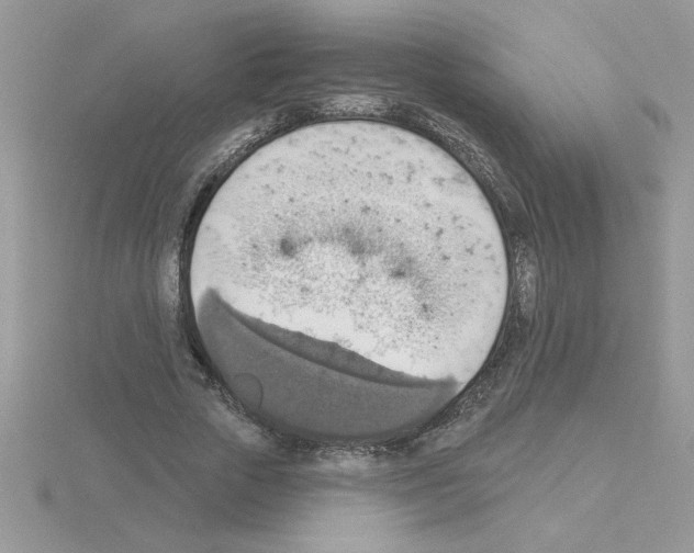 X0000115420729200912151602