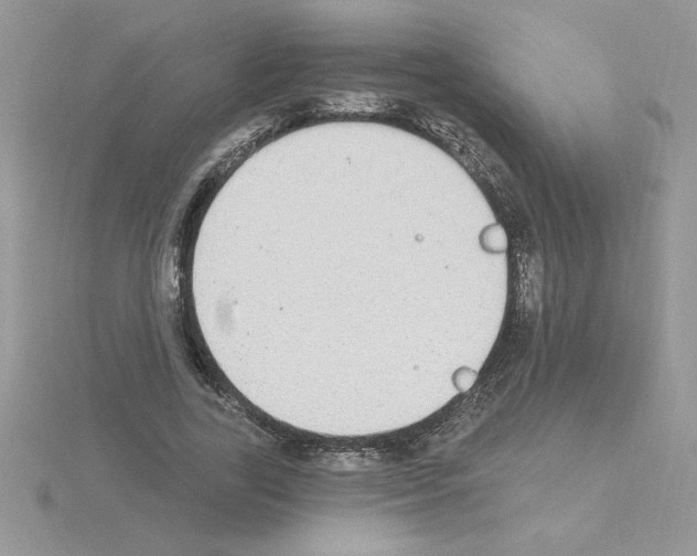 X0000115420731200912151602