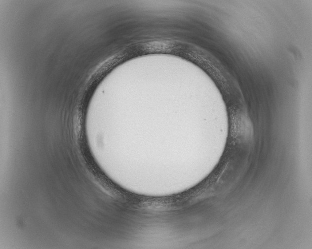 X0000115420733200912151602