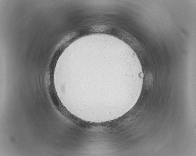 X0000115420734200912151602