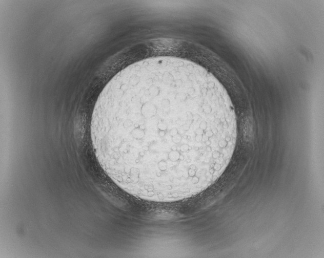 X0000115420737200912151602