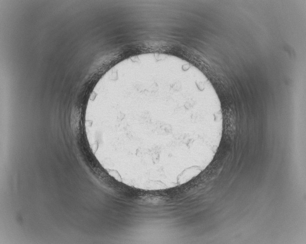 X0000115420742200912151602