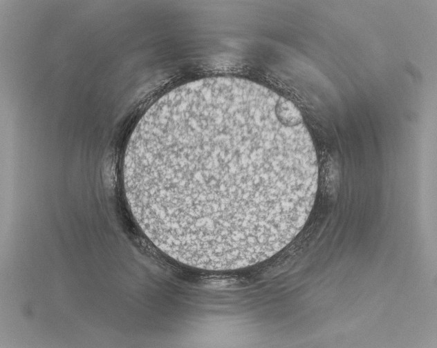 X0000115420746200912151603