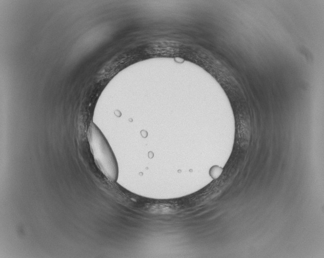 X0000115420751200912151603