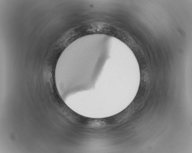 X0000115420754200912151603
