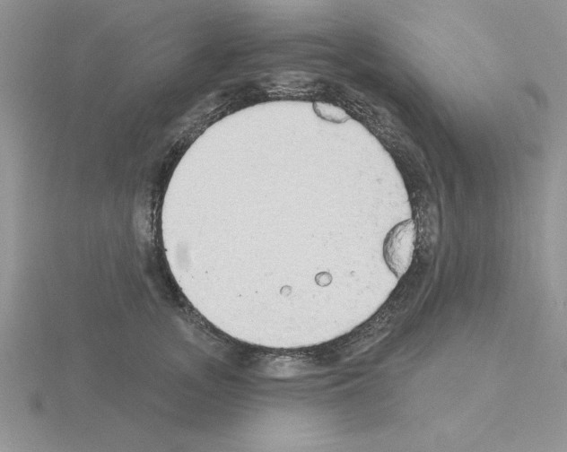 X0000115420755200912151603