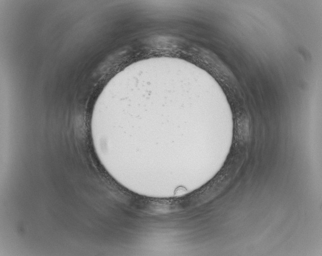 X0000115420757200912151603