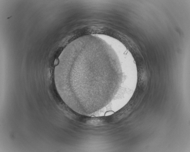 X0000115420759200912151603