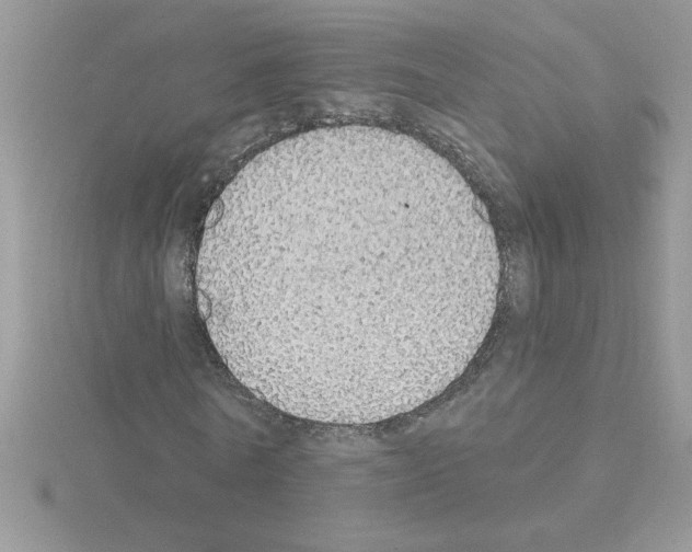 X0000115420770200912151602