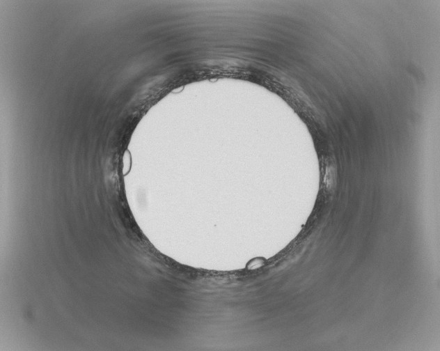 X0000115420771200912151602