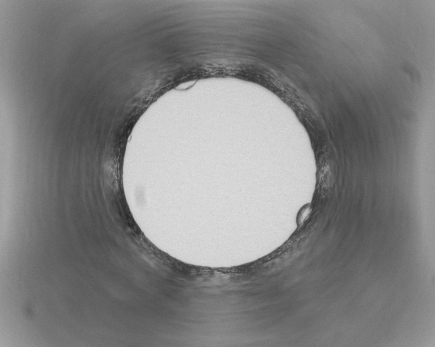 X0000115420772200912151602