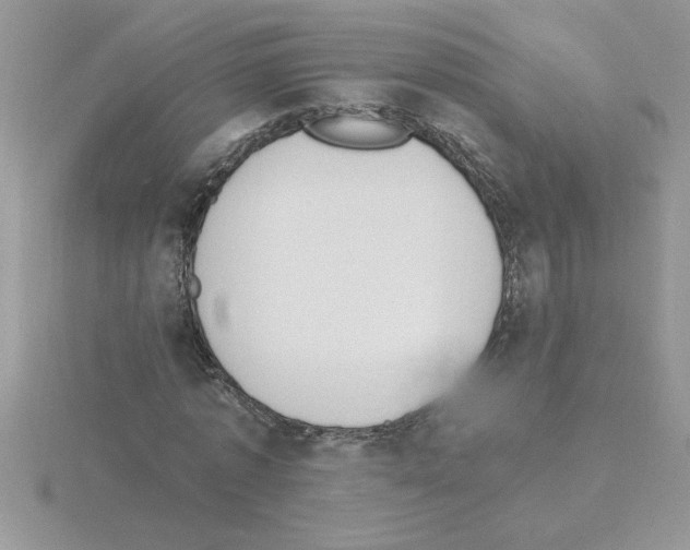 X0000115420773200912151602