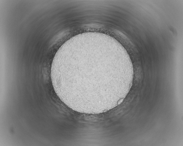 X0000115420774200912151602