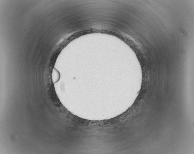 X0000115420776200912151602