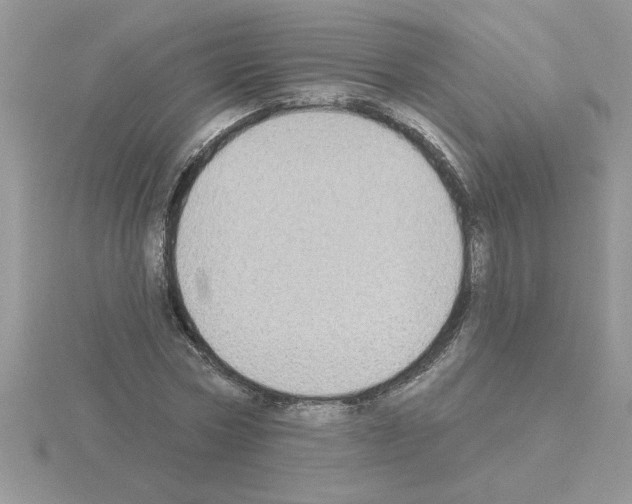 X0000115420778200912151602