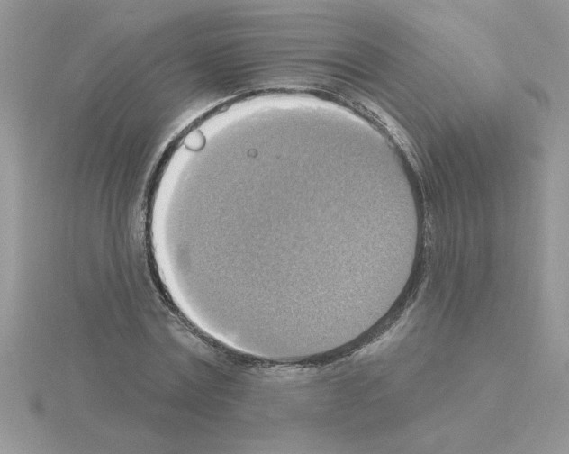 X0000115420779200912151602