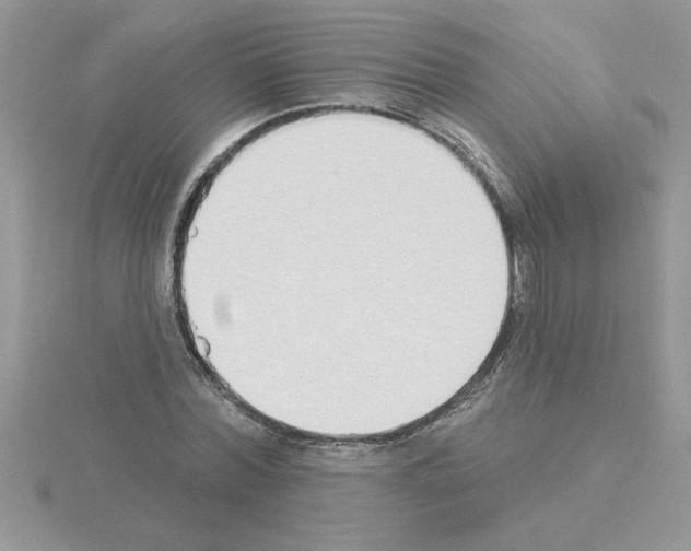 X0000115420780200912151602