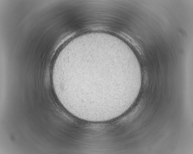 X0000115420782200912151602