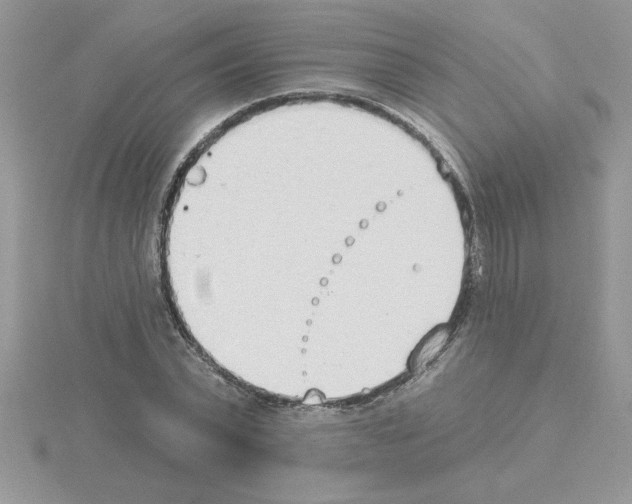 X0000115420783200912151602