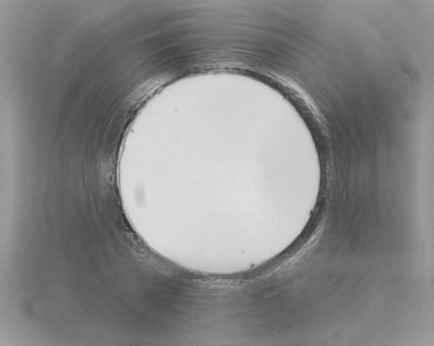 X0000115420785200912151602