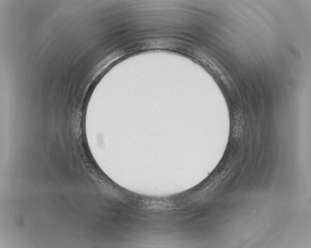 X0000115420786200912151602