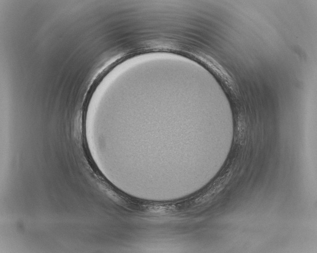 X0000115420790200912151602