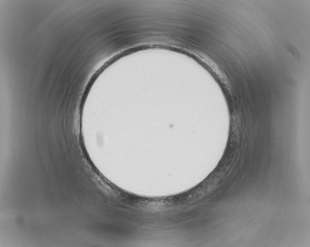 X0000115420791200912151602