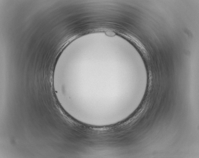 X0000115420793200912151602