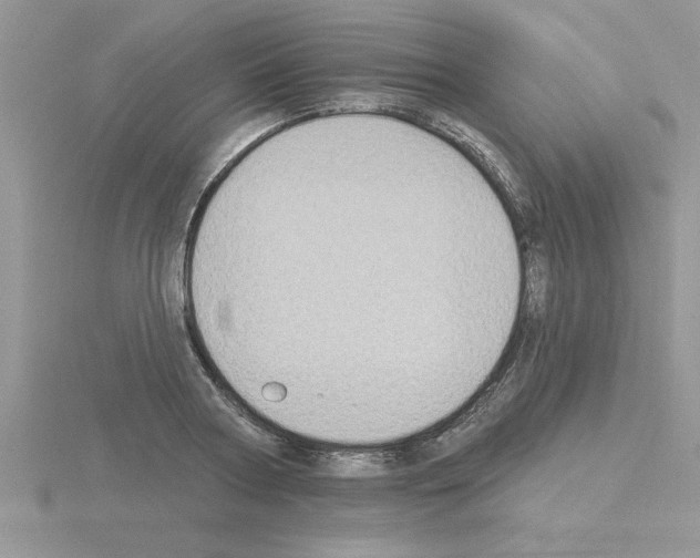 X0000115420794200912151602