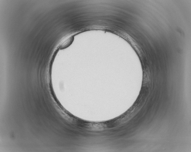 X0000115420795200912151602