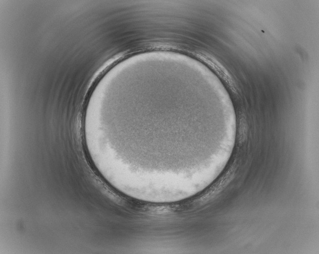 X0000115420798200912151602