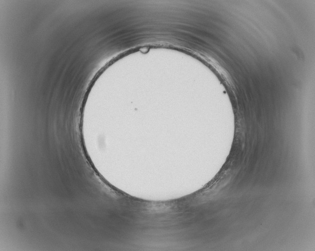 X0000115420799200912151602