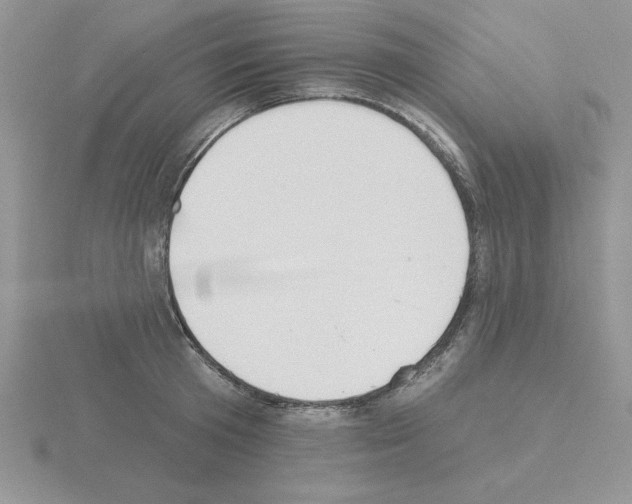 X0000115420801200912151602