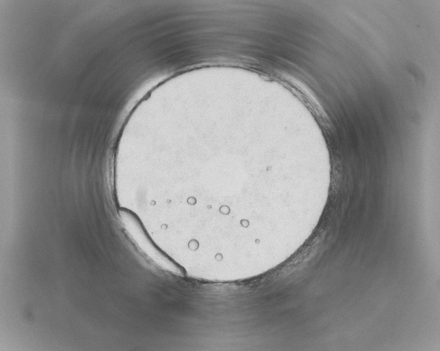 X0000115420804200912151602