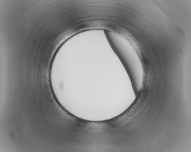 X0000115420805200912151602