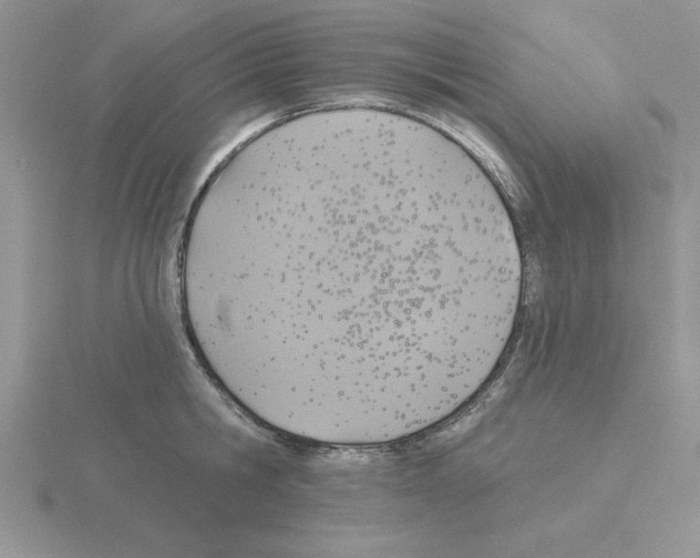 X0000115420806200912151602