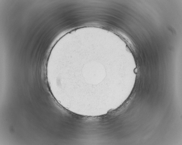 X0000115420808200912151602