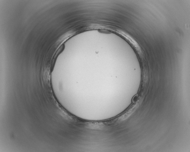 X0000115420809200912151602