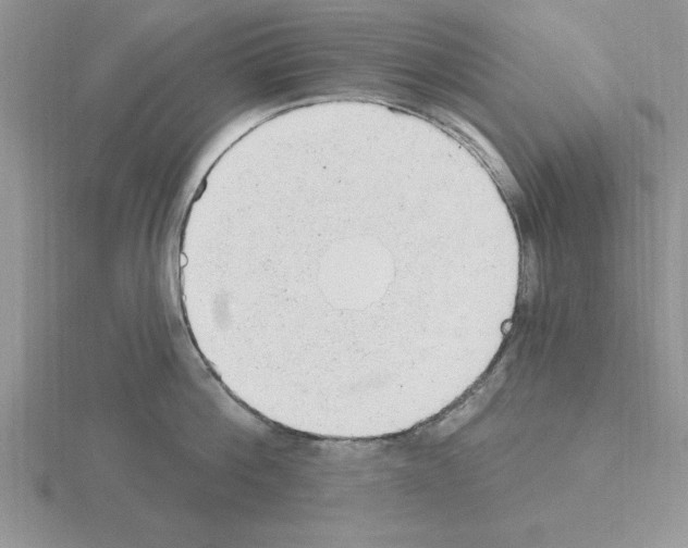 X0000115420812200912151602
