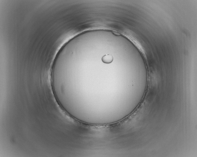 X0000115420813200912151602