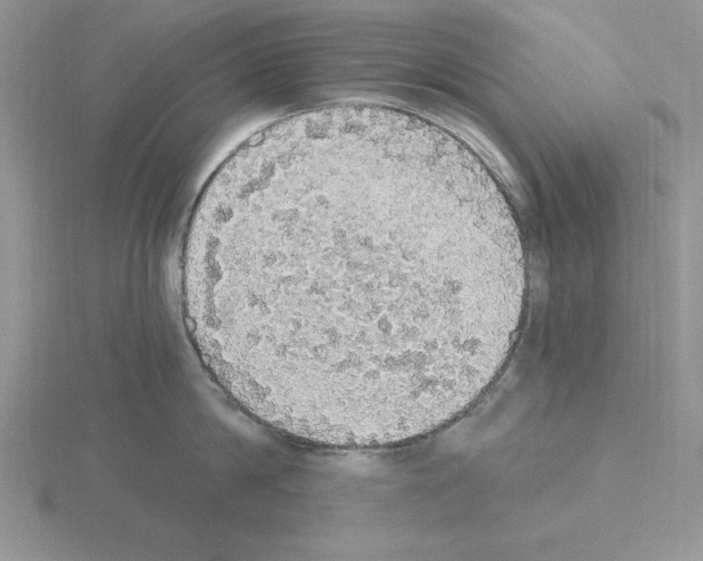 X0000115420814200912151601