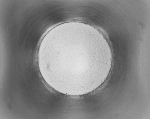 X0000115420816200912151601