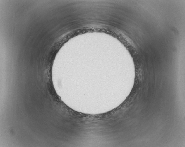 X0000115420821200912151601