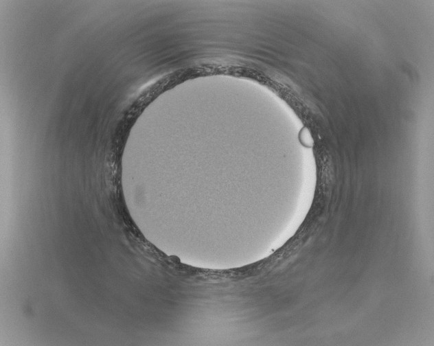 X0000115420822200912151601