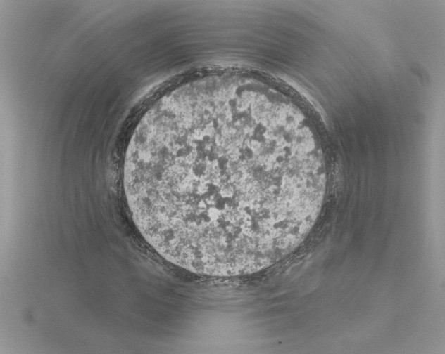 X0000115420823200912151601